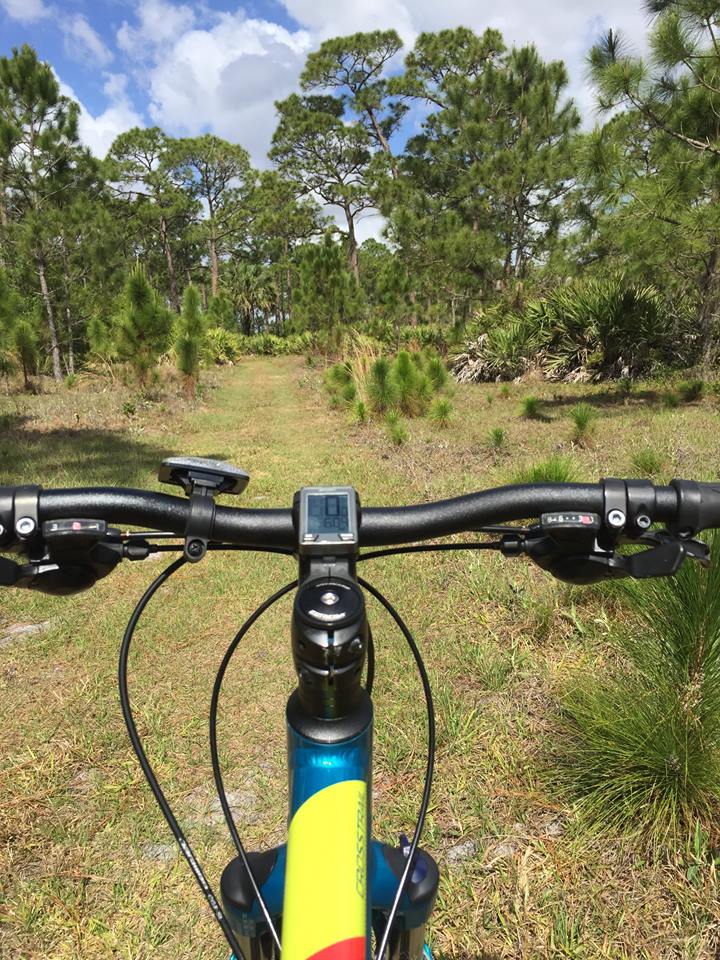 Bluefield Ranch Preserve features more than 20 miles of trails through Florida backwoods.