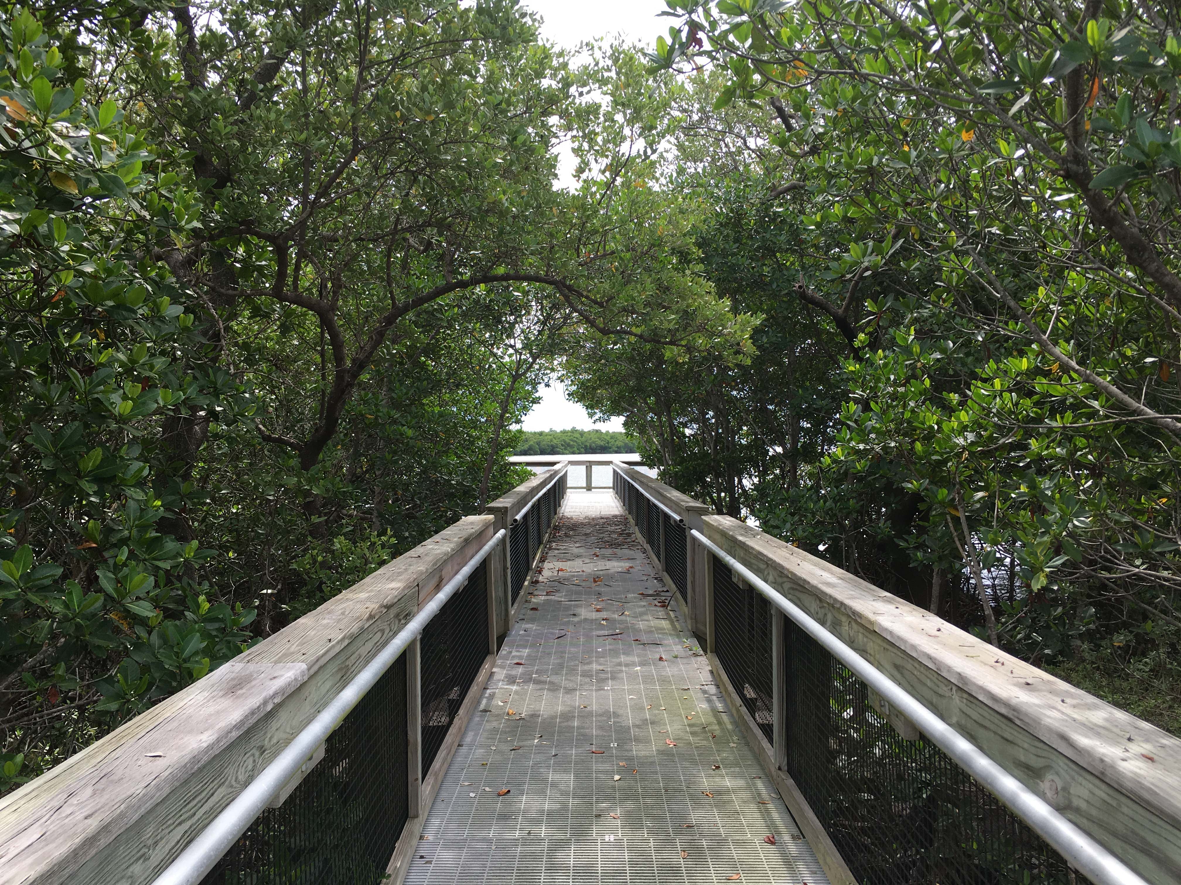 4 The trails feature a series of catwalks that provide good views of the lagoon (1)