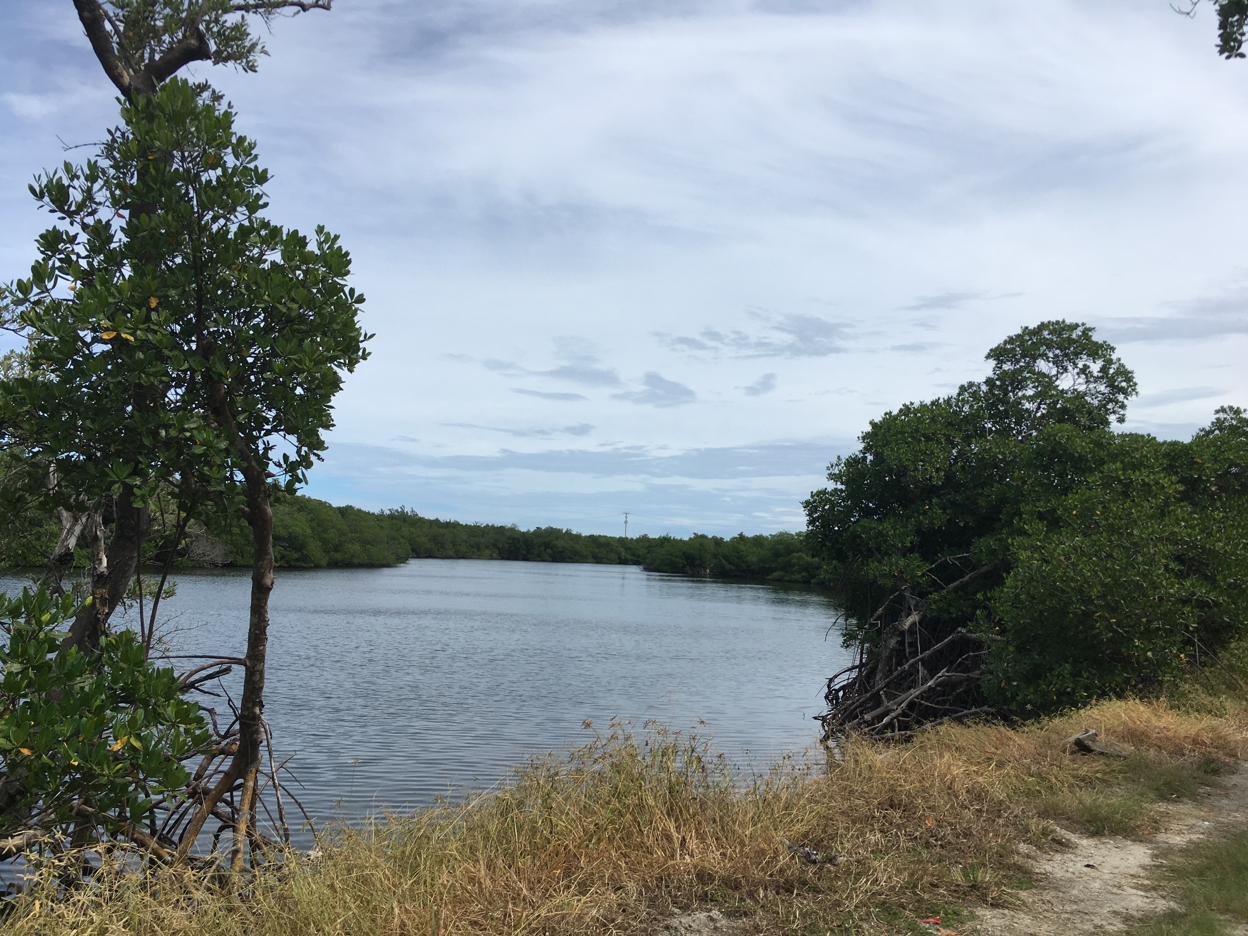 7 A view of Blind Creek (1)