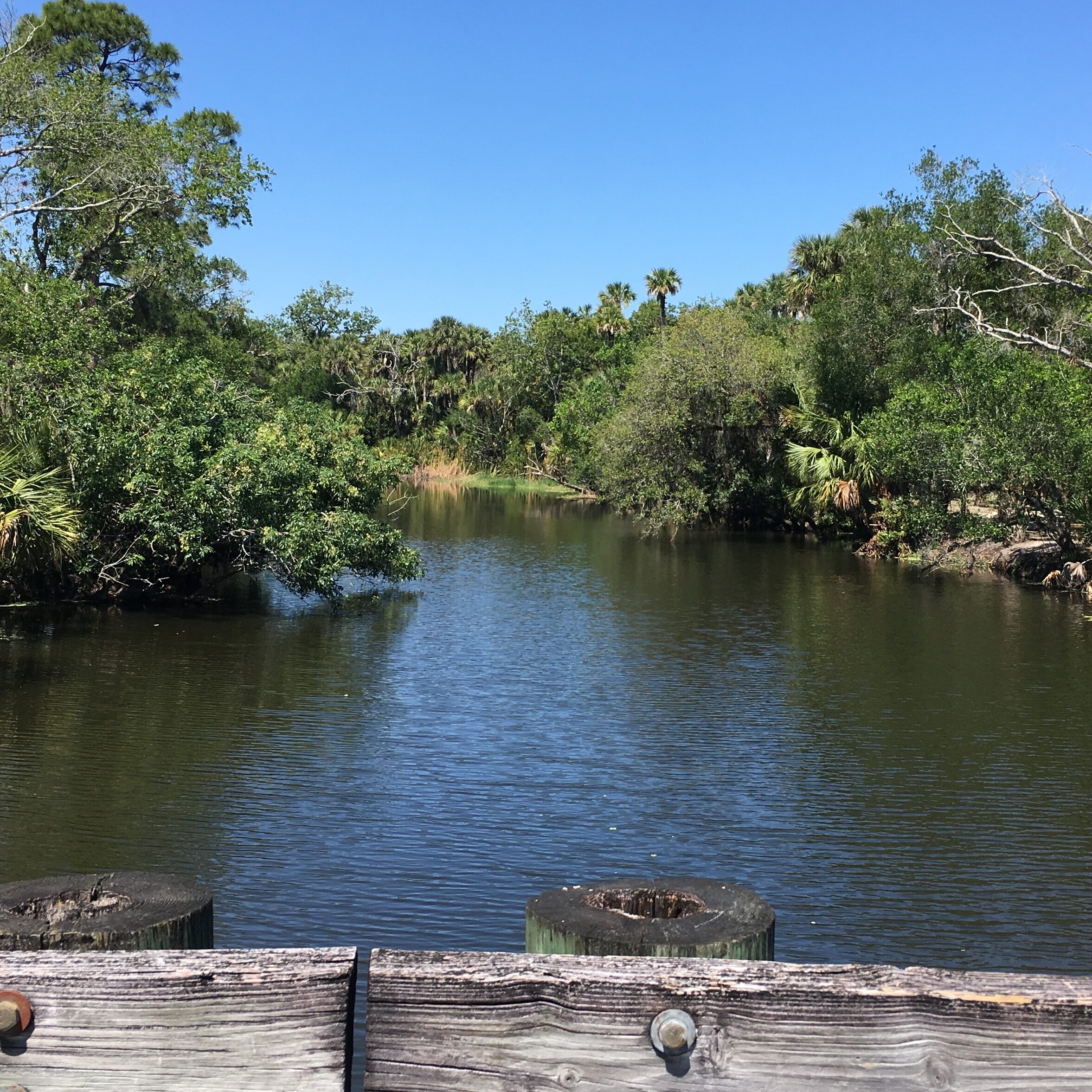 3--A view of Ten Mile Creek from an old wooden bridge