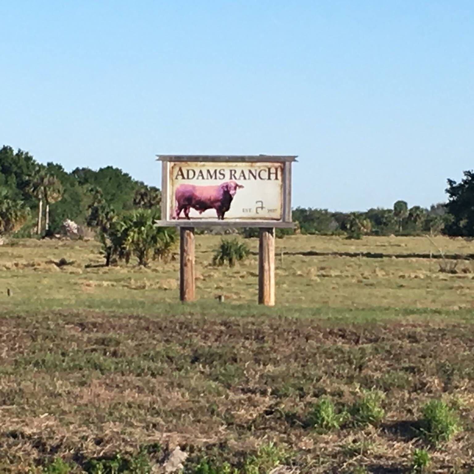 5--A portion of the trail goes by historic Adams Ranch, one of the largest cow-calf operations in the country